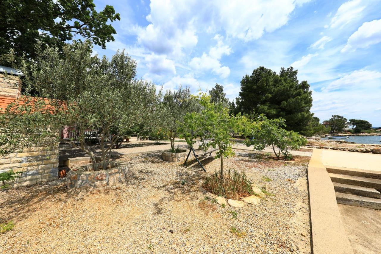 Rajna Appartement